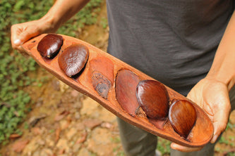 5 Reasons Why We Love Pracaxi Oil