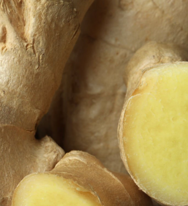 Fresh Ginger Essential Oil